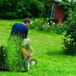 أفضل روبوتات قص العشب: حديقتي الخلفية أصبحت الآن مختبر اختبار للجزازات