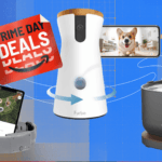 التسوق لمستلزمات حيواناتك الأليفة: صفقات مميزة في يوم برايم المبكر